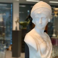 Sed vel sodales velit